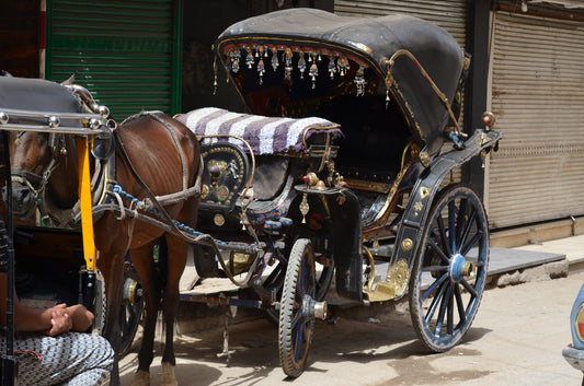 全ての始まり〜・・・エジプト編　44