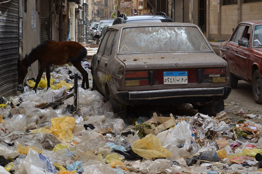 全ての始まり〜・・・エジプト編　2