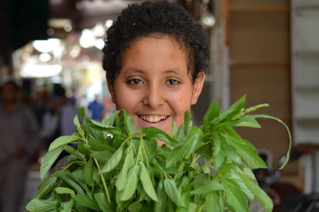 全ての始まり〜・・・エジプト編　35