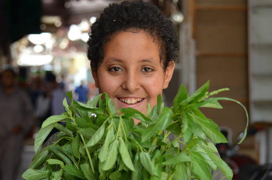 全ての始まり〜・・・エジプト編　35