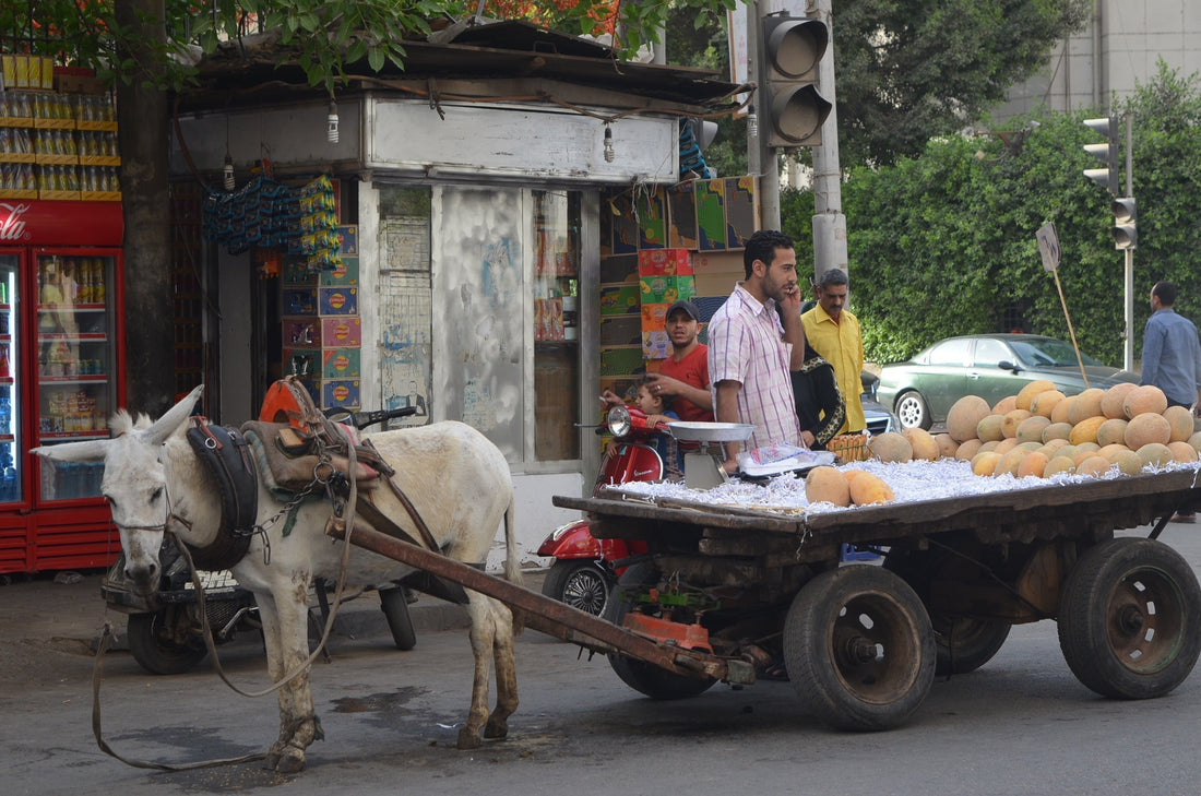 全ての始まり〜・・・エジプト編　14