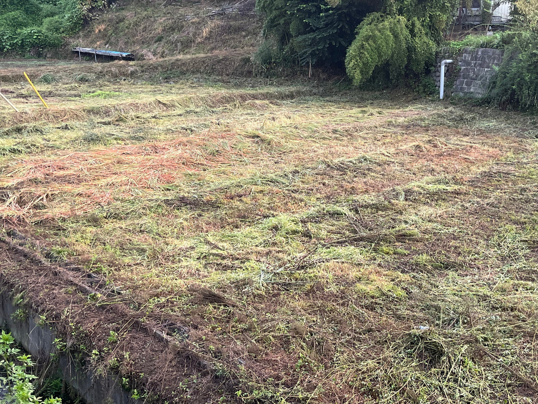 おっさんの３連休