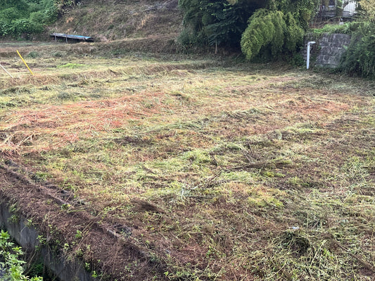 おっさんの３連休