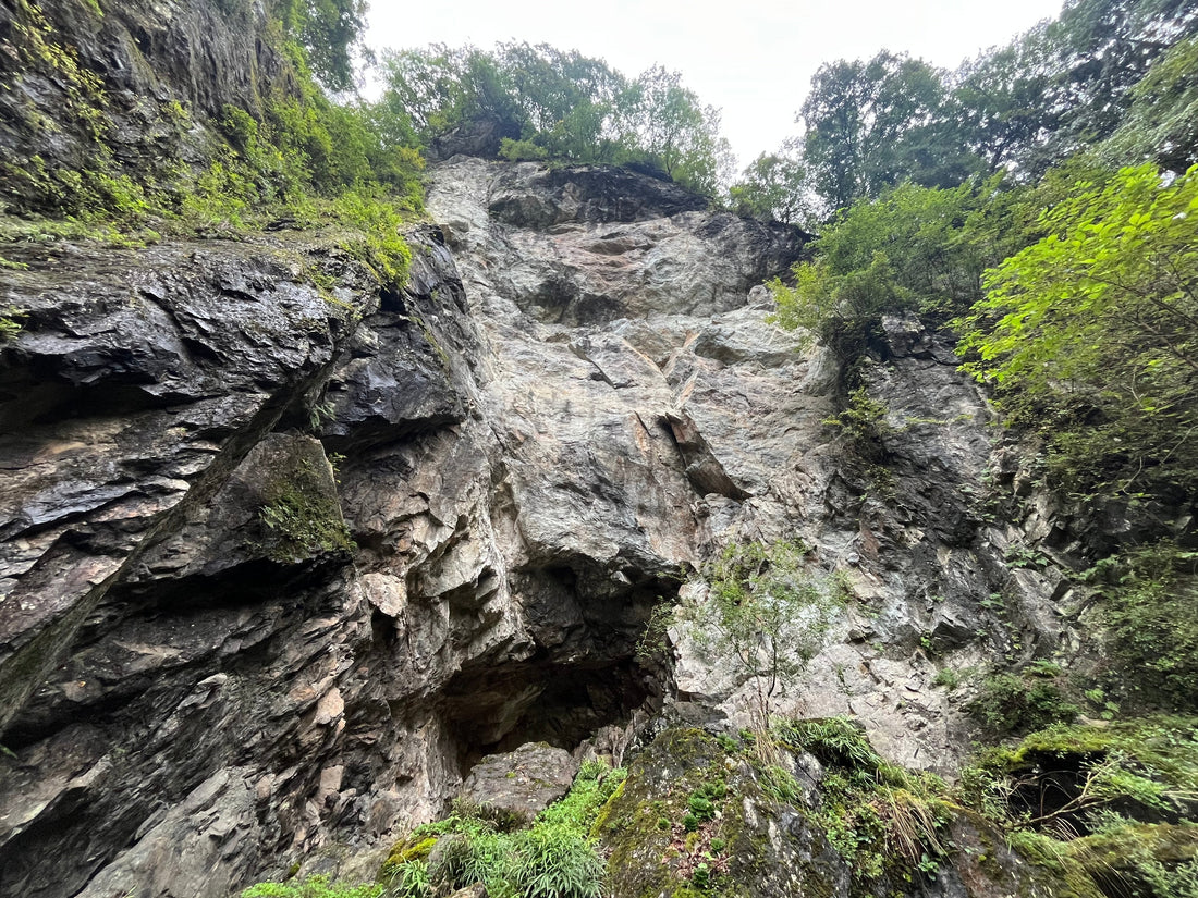 天然砥石が欲しくて山に採りに行った。