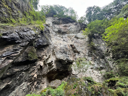 天然砥石が欲しくて山に採りに行った。